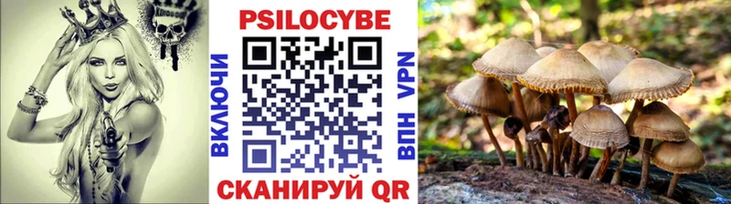 Галлюциногенные грибы MAGIC MUSHROOMS  купить   Лодейное Поле 