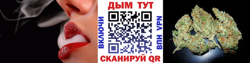 Бошки Шишки White Widow  Лодейное Поле 